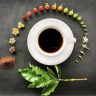 Ganoderma lucidum, el hongo de la inmortalidad