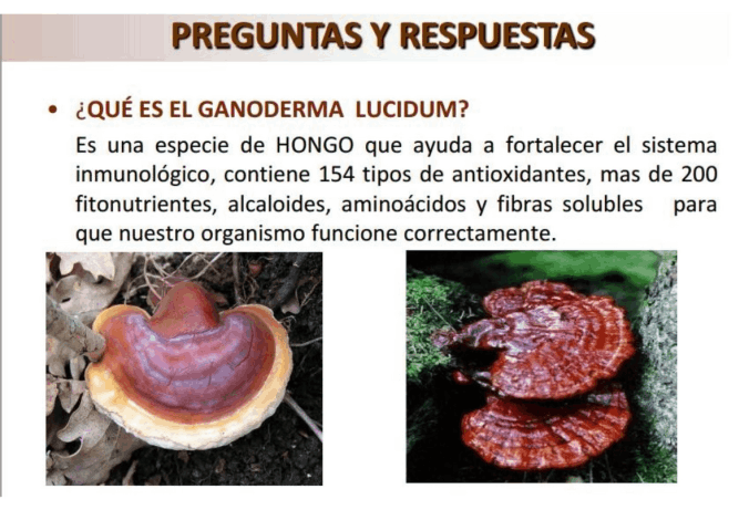 Preguntas y respuestas